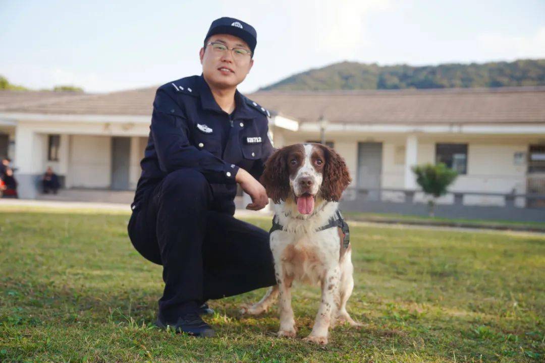 警犬兄弟退役,领养机会来啦!_和安_生活_搜索