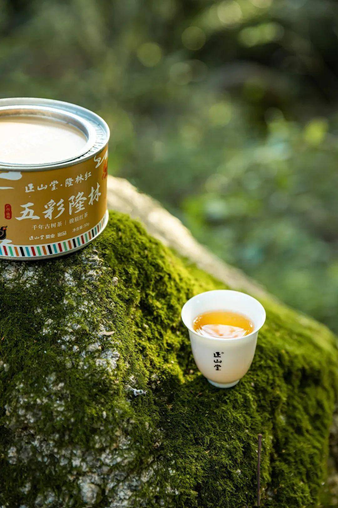 广西隆林 | 多彩古茶乡,韵味隆林红_古树茶_传承_少数民族