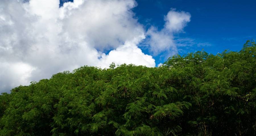 出货规模回落倒逼家电业商业模式创新-家电圈官网