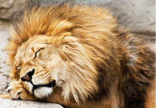 看看下半句是什么_阿美士德_法国_欧洲