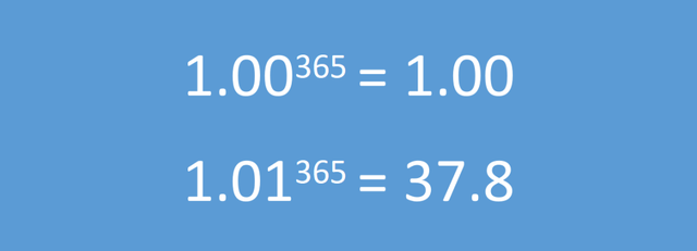 1.01的365次方图片壁纸图片