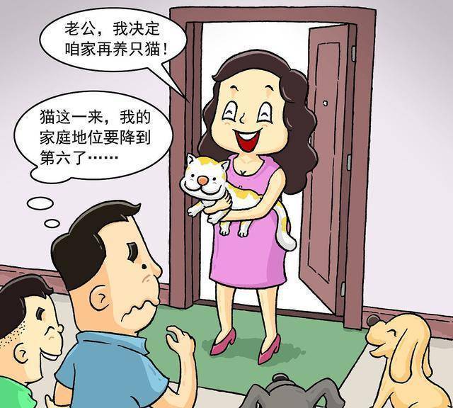 郭涛_妻子_网友