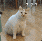 教师资格证考试_教师资格证报名考试时间_非师范生考教资有用吗