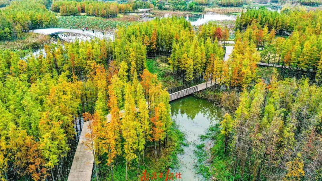 鱼尾洲湿地公园象湖湿地公园今年,南昌入选第二批"国际湿地城市"成为