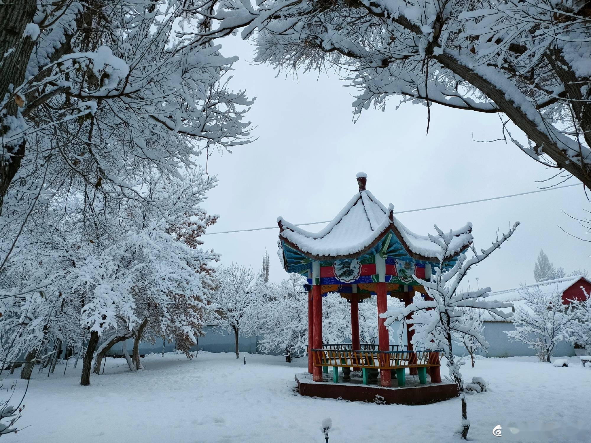 新疆奎屯雪景图片图片