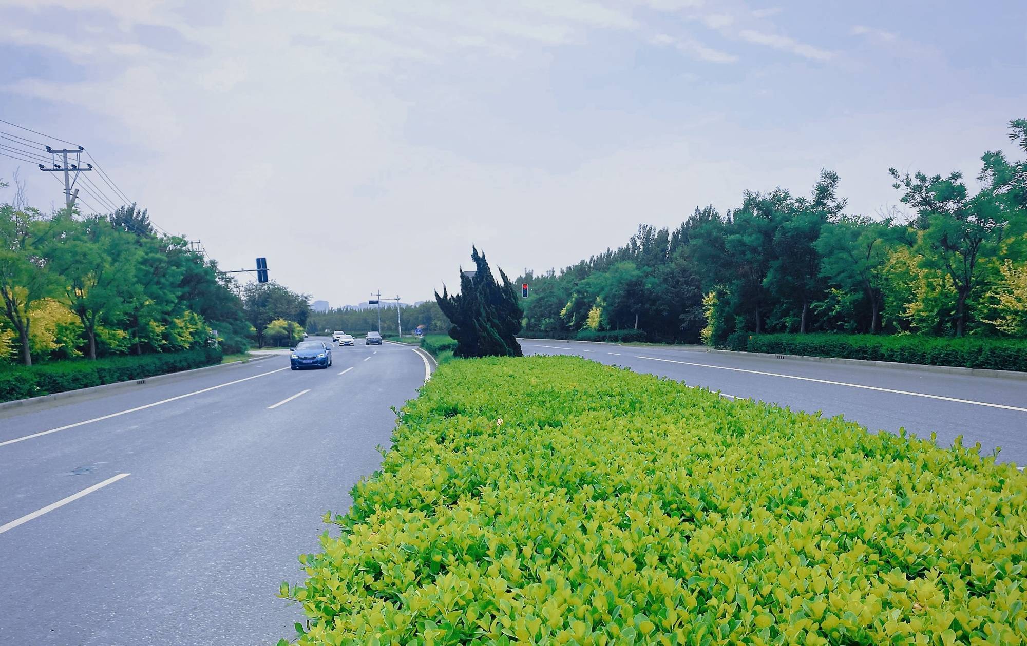 6公里,北至东丽大道,承接七里海大道,南至津汉公路,直达空港经济区