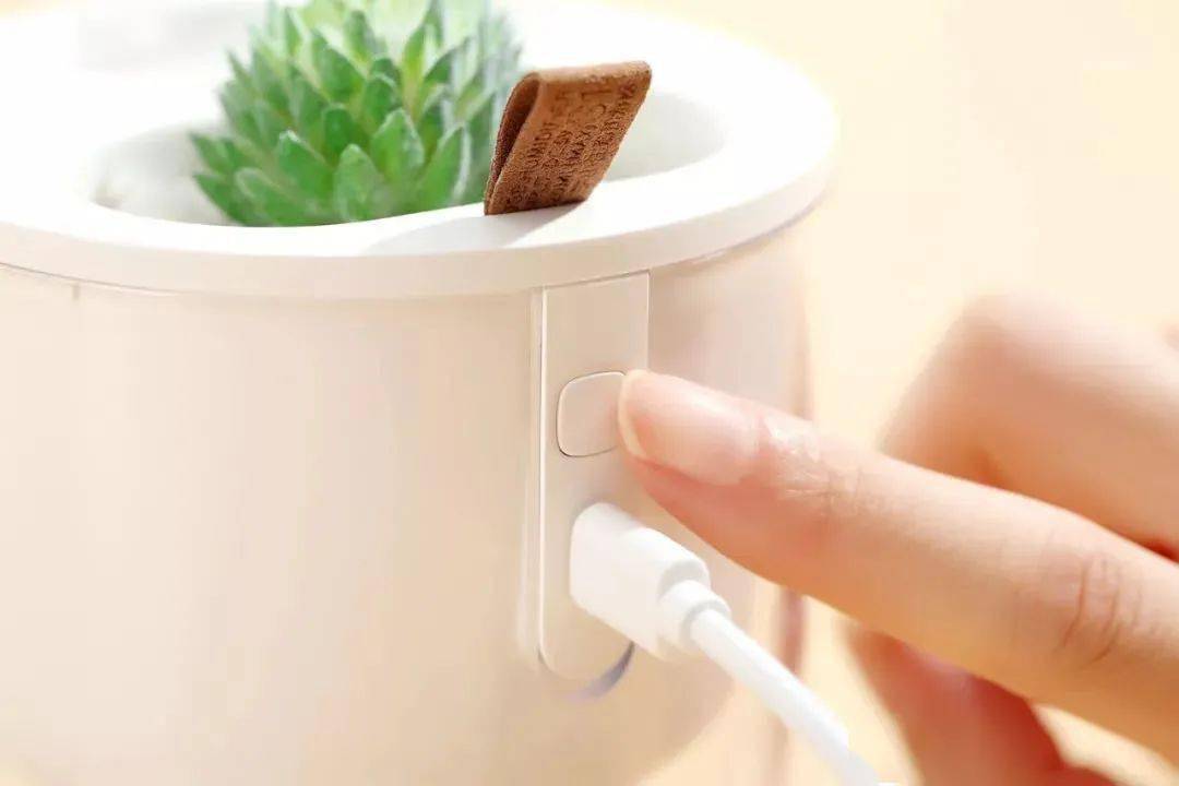 可以DIY种绿植的小小加湿器，暖心可爱，让你的桌面元气满满！