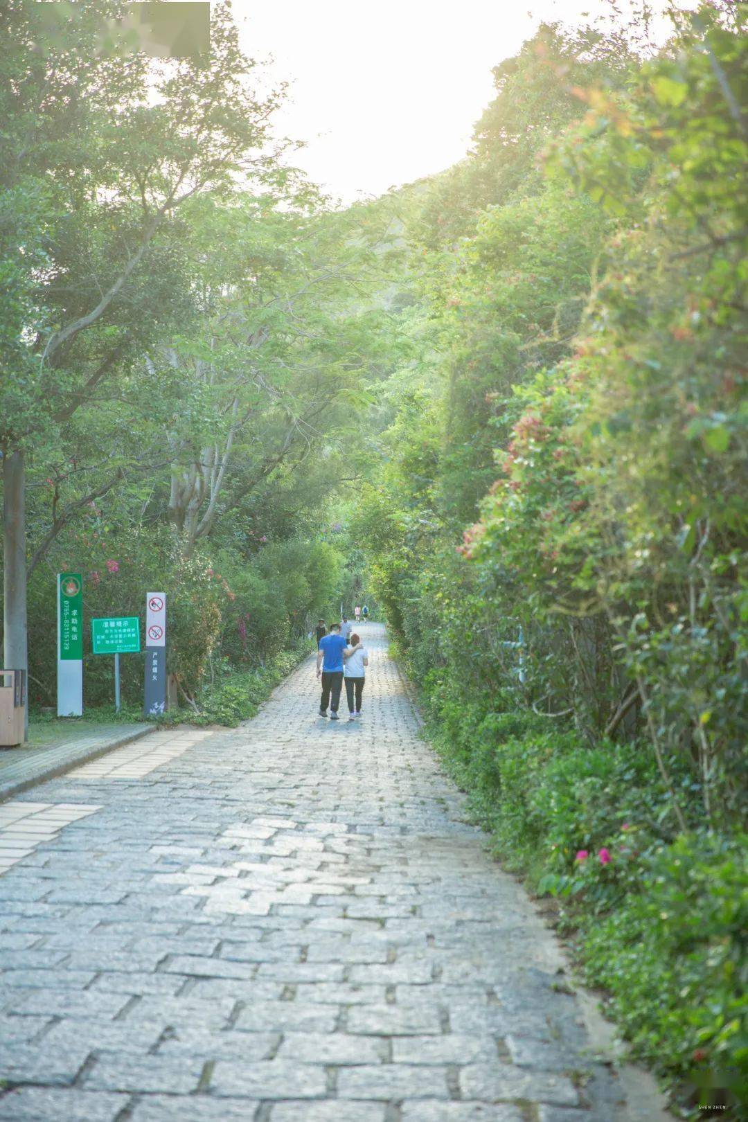 深圳10条跑步路线,风景超美!_公园_栈道_福田河