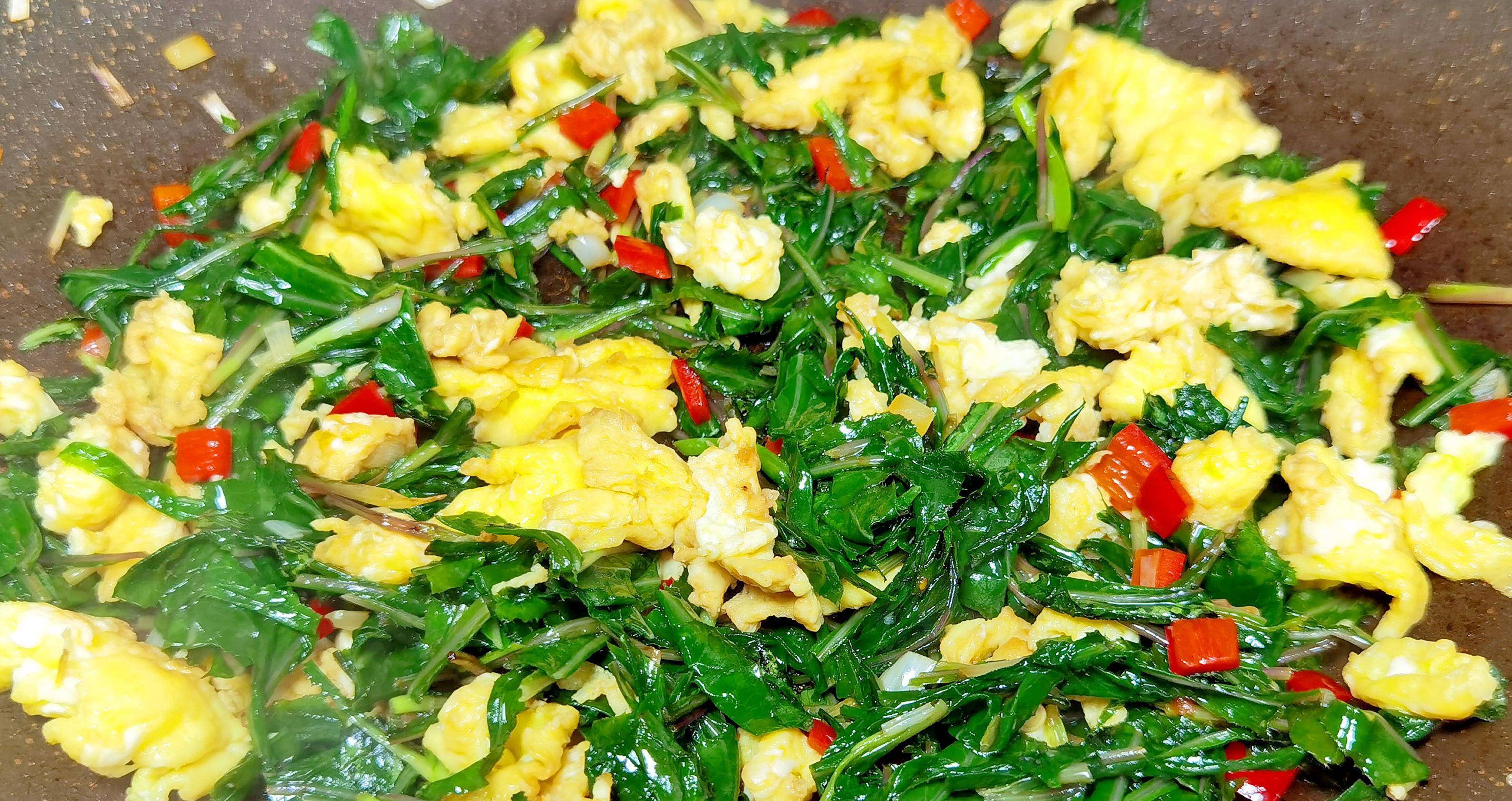 入夏后,遇见这菜抓紧吃,全身是宝,却常被当成杂草,炒鸡蛋真香