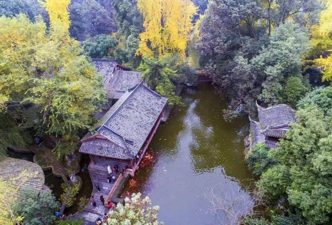 「罨画池」正是一年秋好处_银杏_季节_崇州