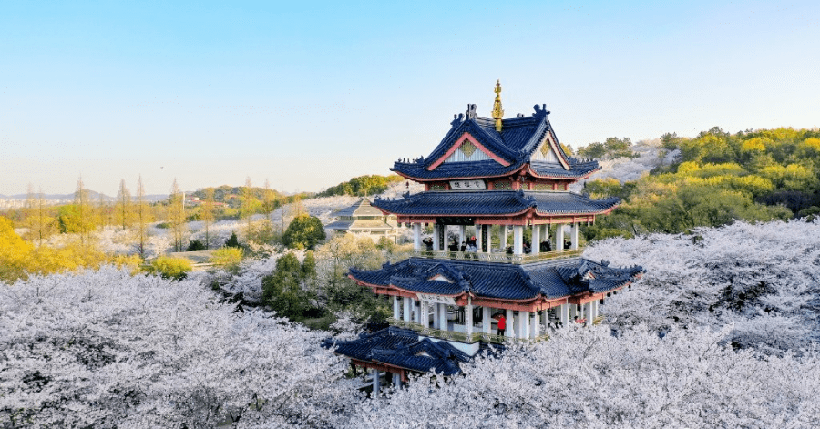 一路浩浩湯湯奔流向蘇州在望亭——運河吳門第一鎮翻湧出一朵朵激昂澎