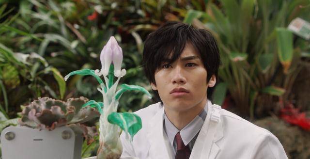 露露耶花隐藏着哪些小细节?