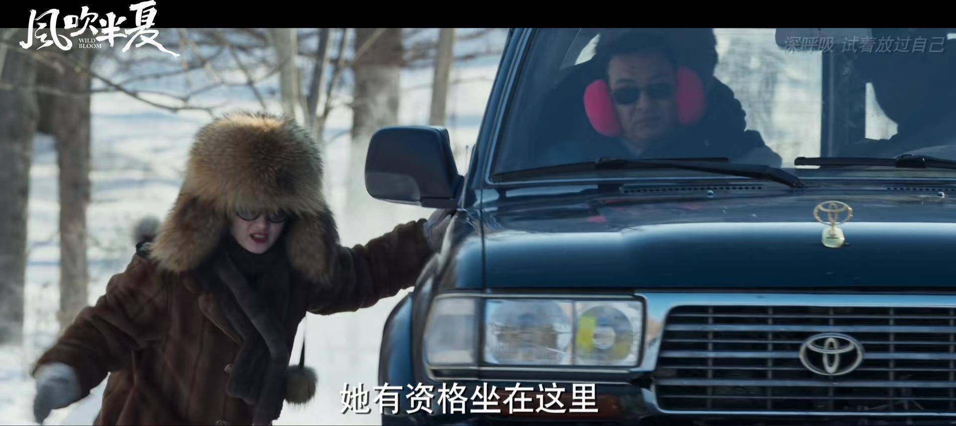 风吹半夏免费观看完整版高清电视剧_女性创业剧_国产商战剧