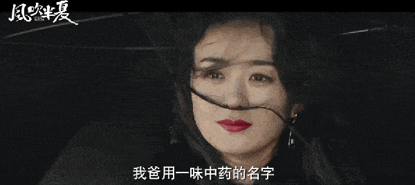 女性创业剧_国产商战剧_风吹半夏免费观看完整版高清电视剧