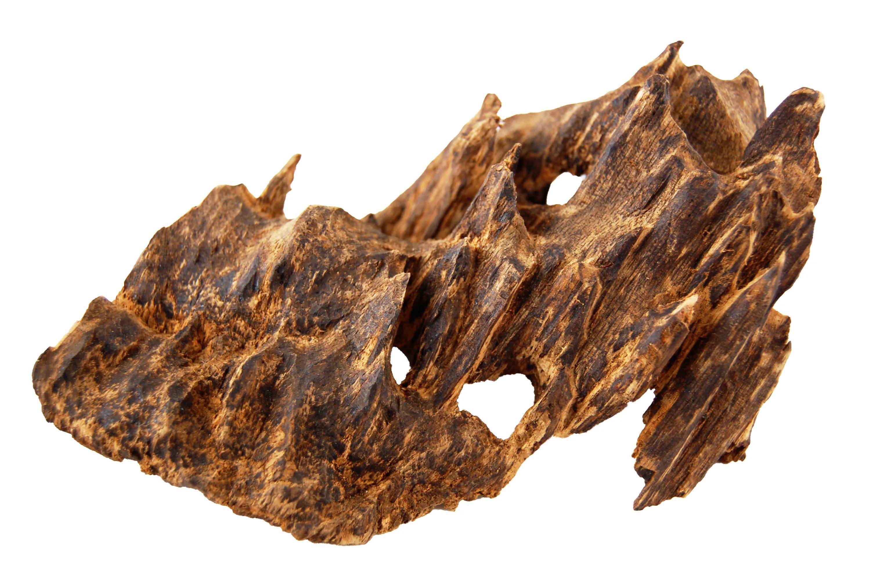 如何通过沉香的颜色,判断沉香的香韵_香味_油脂_黄色