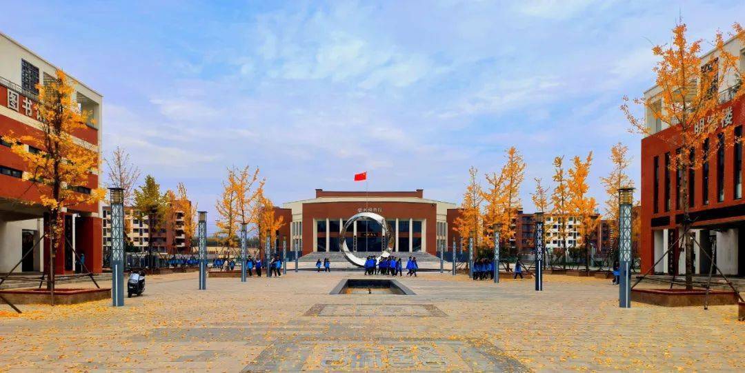 2022年11月22日,三门峡市渑池高级中学的师生打破思维的限制,在银杏