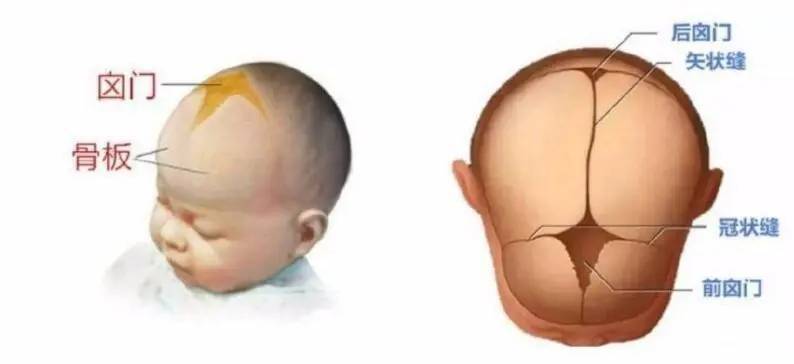 宝宝方头颅缺钙图片图片