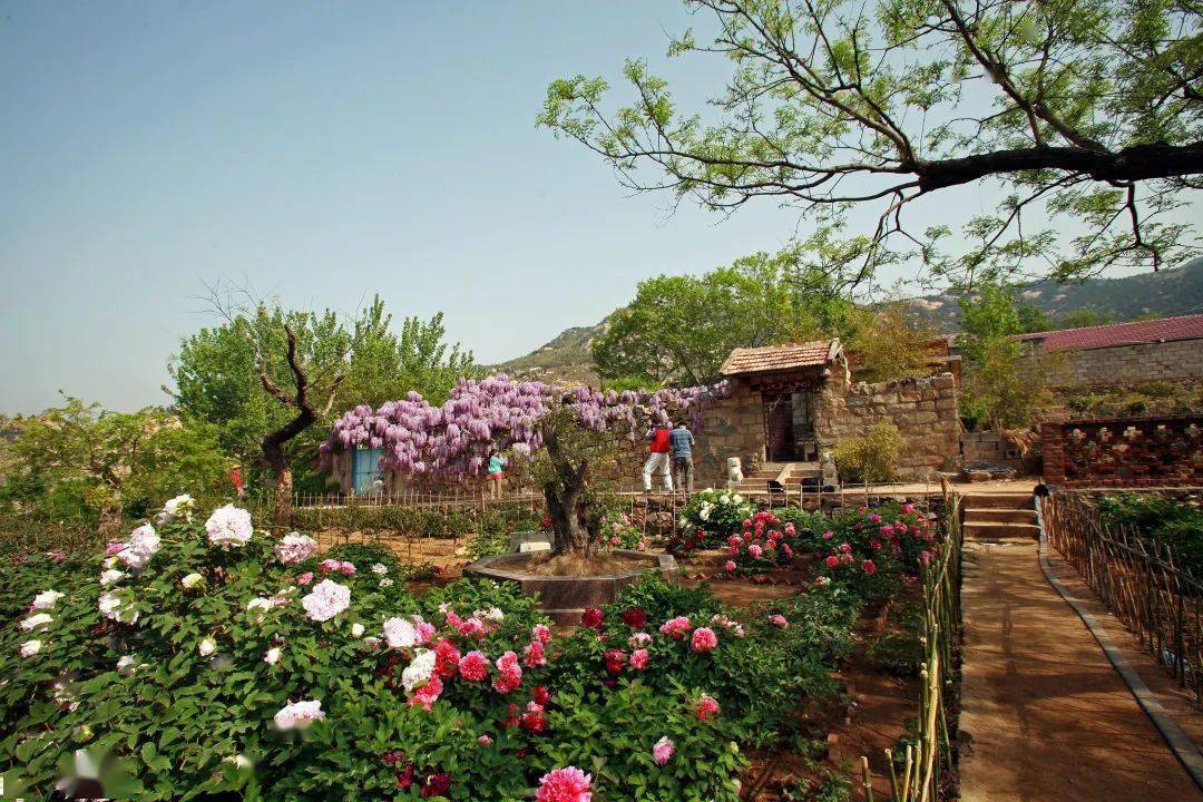 平邑有两个项目入选!_山东省_乡村_景区