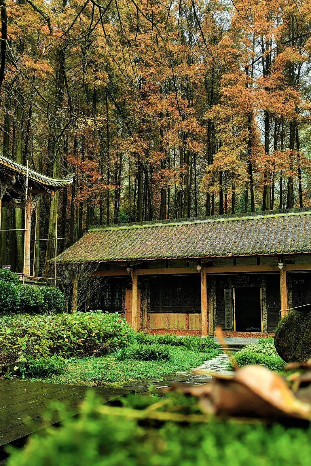 心悦灵岩山‖柳红樱
