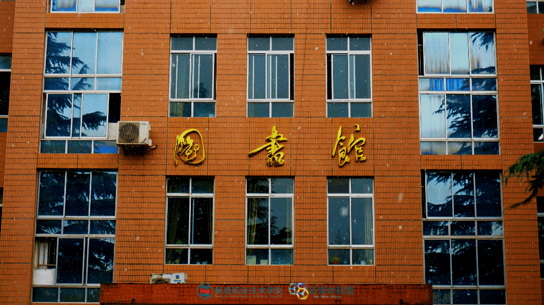 醉美杨职丨2022第一场雪,杨职学子开启"玩雪模式"~_雪花_初雪_校园