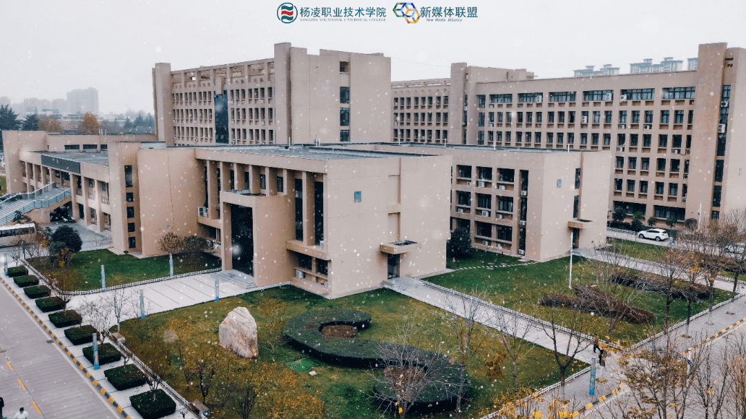 醉美杨职丨2022第一场雪,杨职学子开启"玩雪模式"~_雪花_初雪_校园