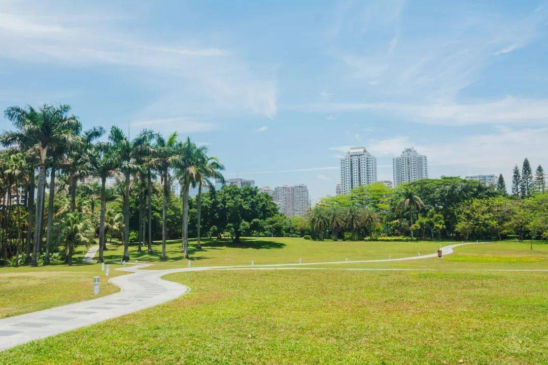 荔香公園 |打卡點11深圳書城(南山店)是買書看書的好去處環境開闊