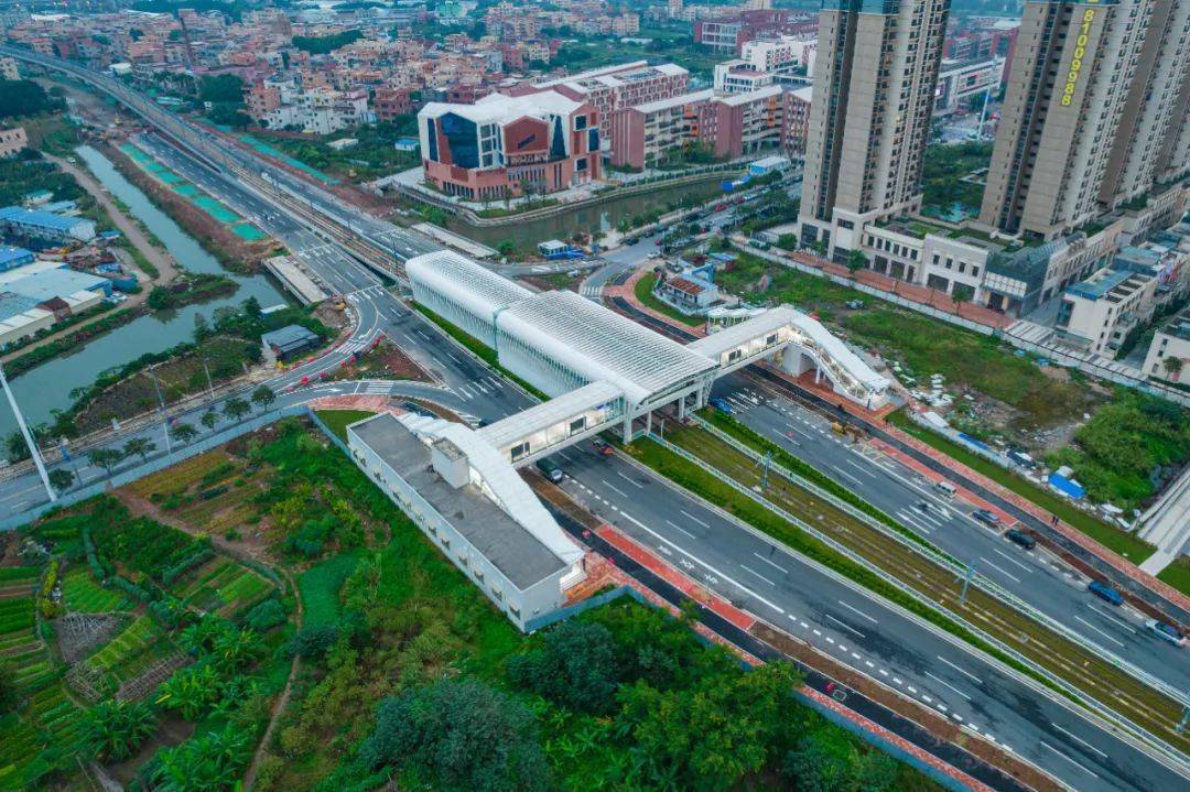 南海有轨电车1号线项目后通段正式开通_林岳_换乘_运营