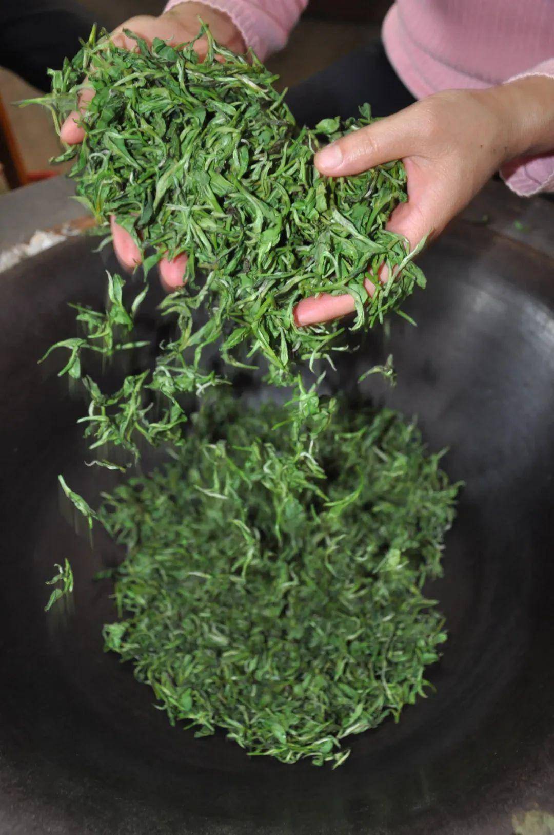 重磅丨"婺源绿茶制作技艺"入选联合国教科文组织人类非物质文化遗产