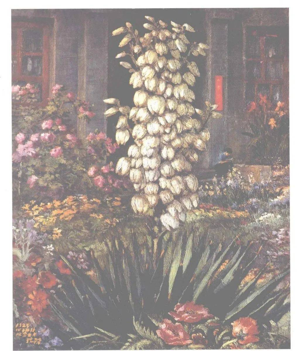 《凤尾兰》油画 57cm×47cm 1925年《花开似锦》水彩画 35cm×29cm