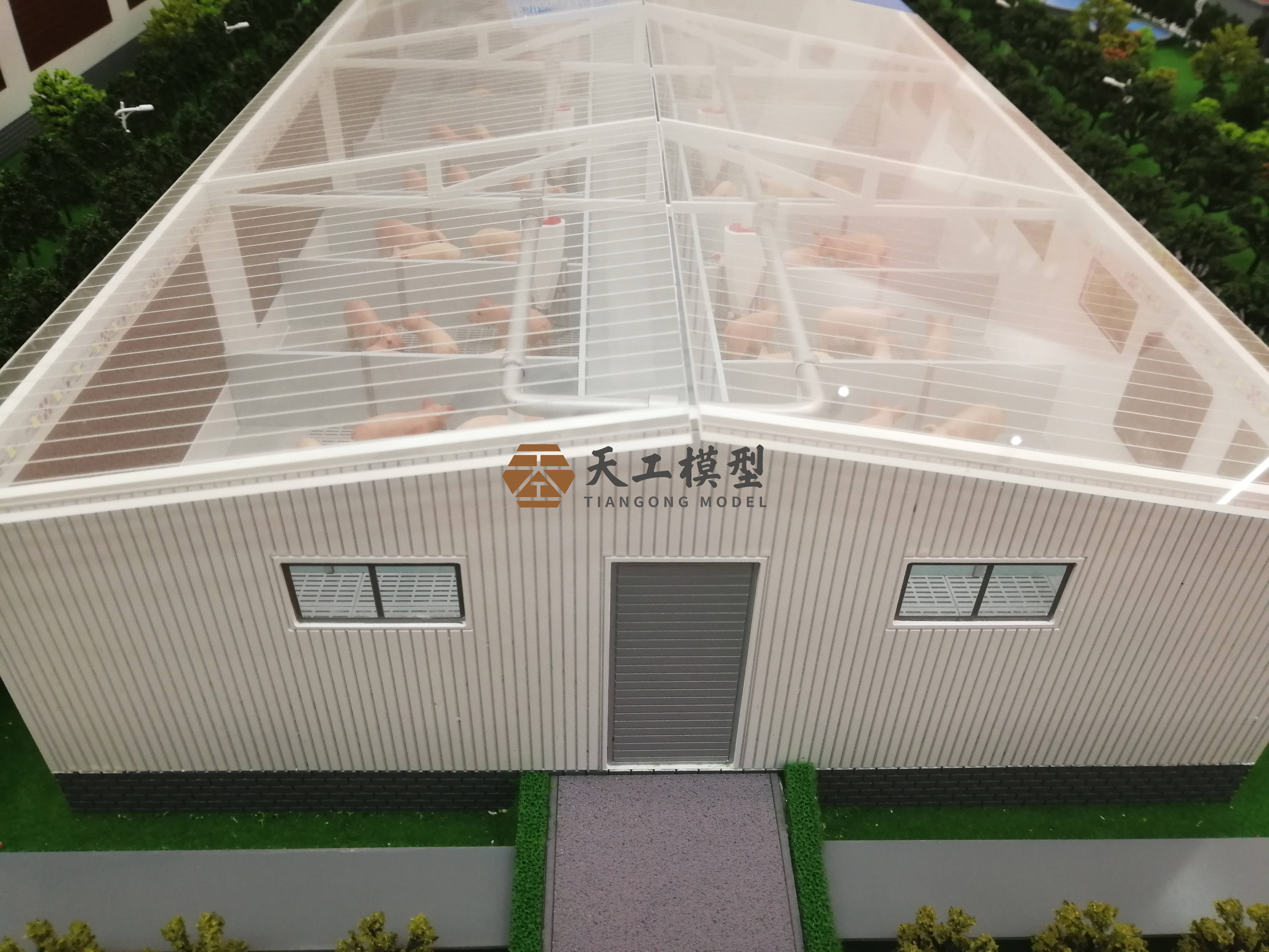 智慧养猪场模型_发展_养殖_数字化