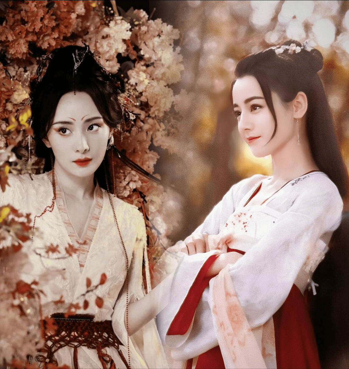 生日,评论区仍被cp粉占领,两位挚友无动静引争议_周雨彤_徐沐婵_祝福