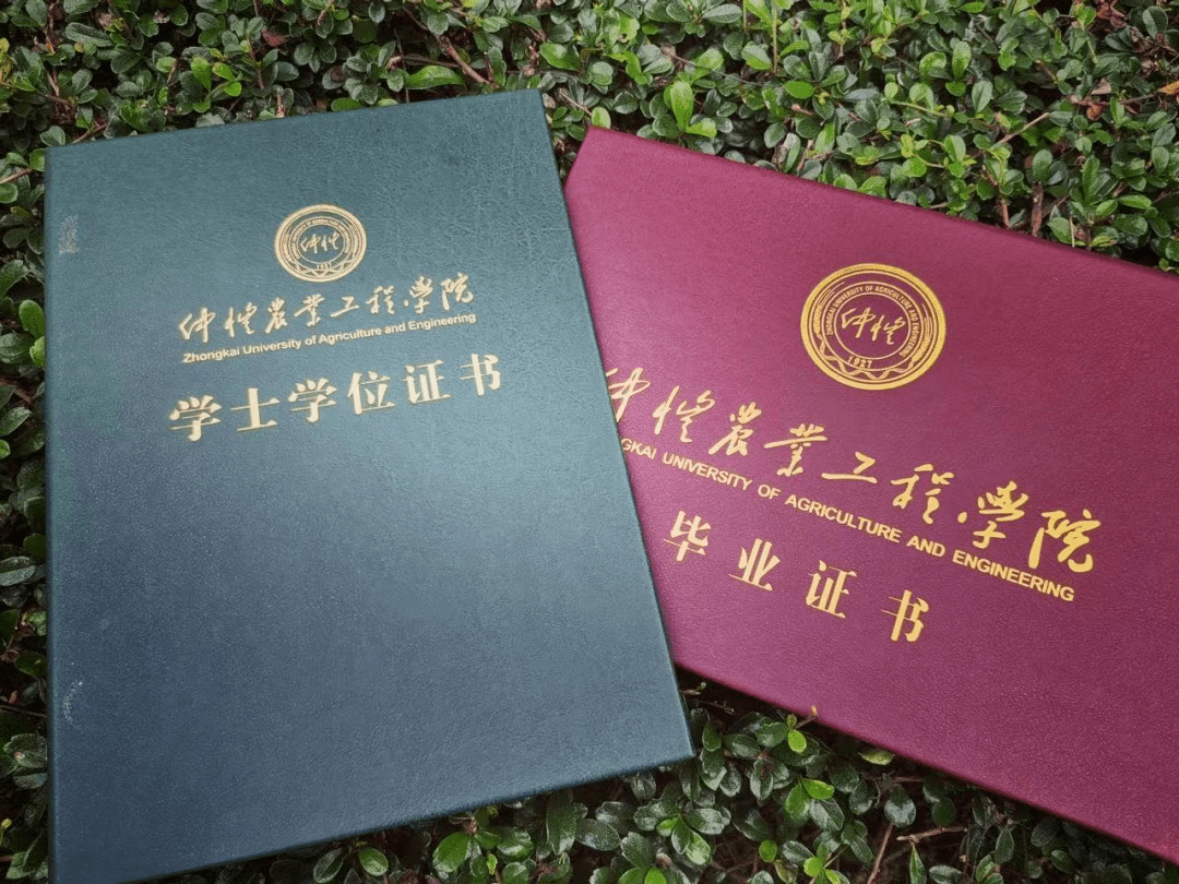 全日制普通高校包括_普通全日制高校指什么_全日制普通高校