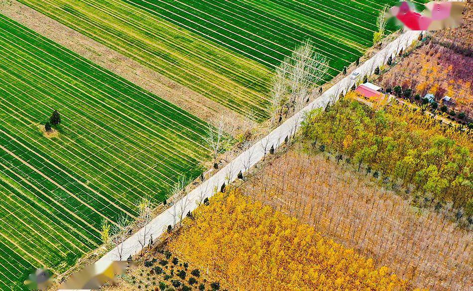 夏县:嫘祖故里冬景美_张秀峰_田野_山西