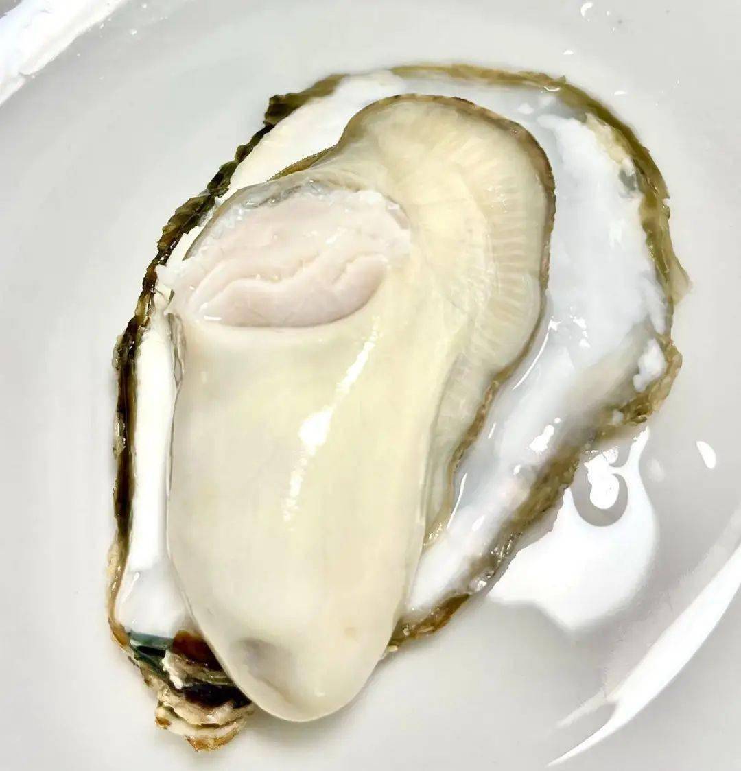 乳山极品生蚝王~特级10斤装,省内包邮到家_关火_时候_平面