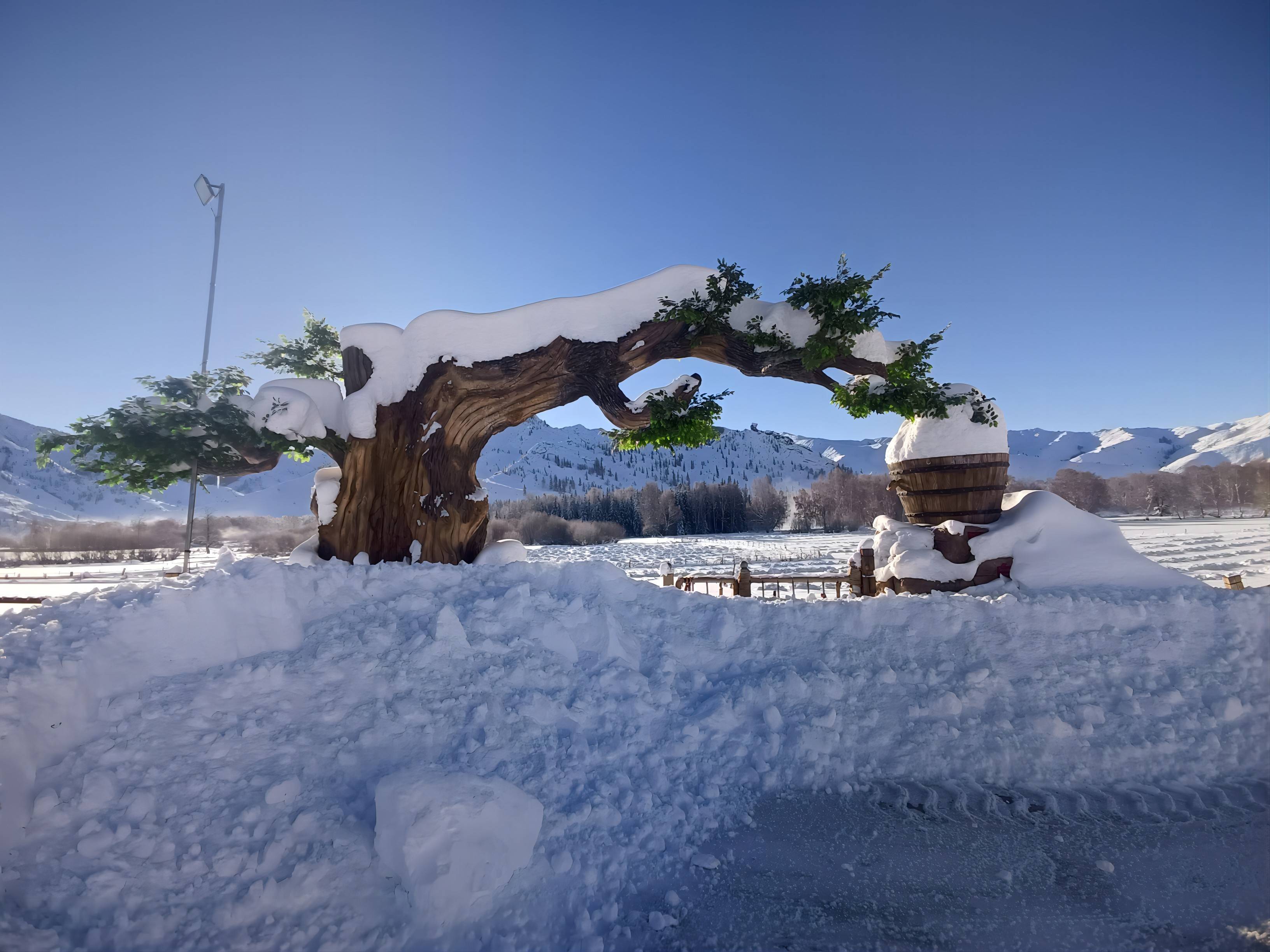 额河第一村长满"雪蘑菇"_塔拉特_天气_富蕴县