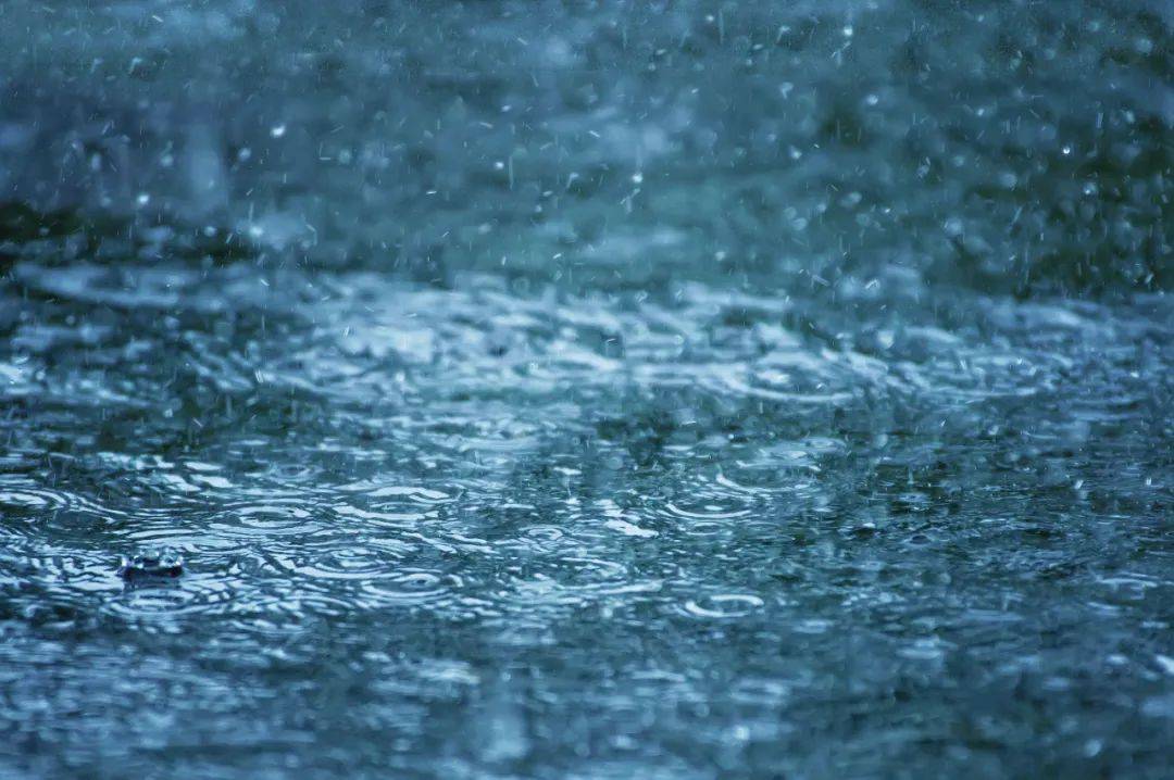 雨雨雨来了!_全市_南京_气温