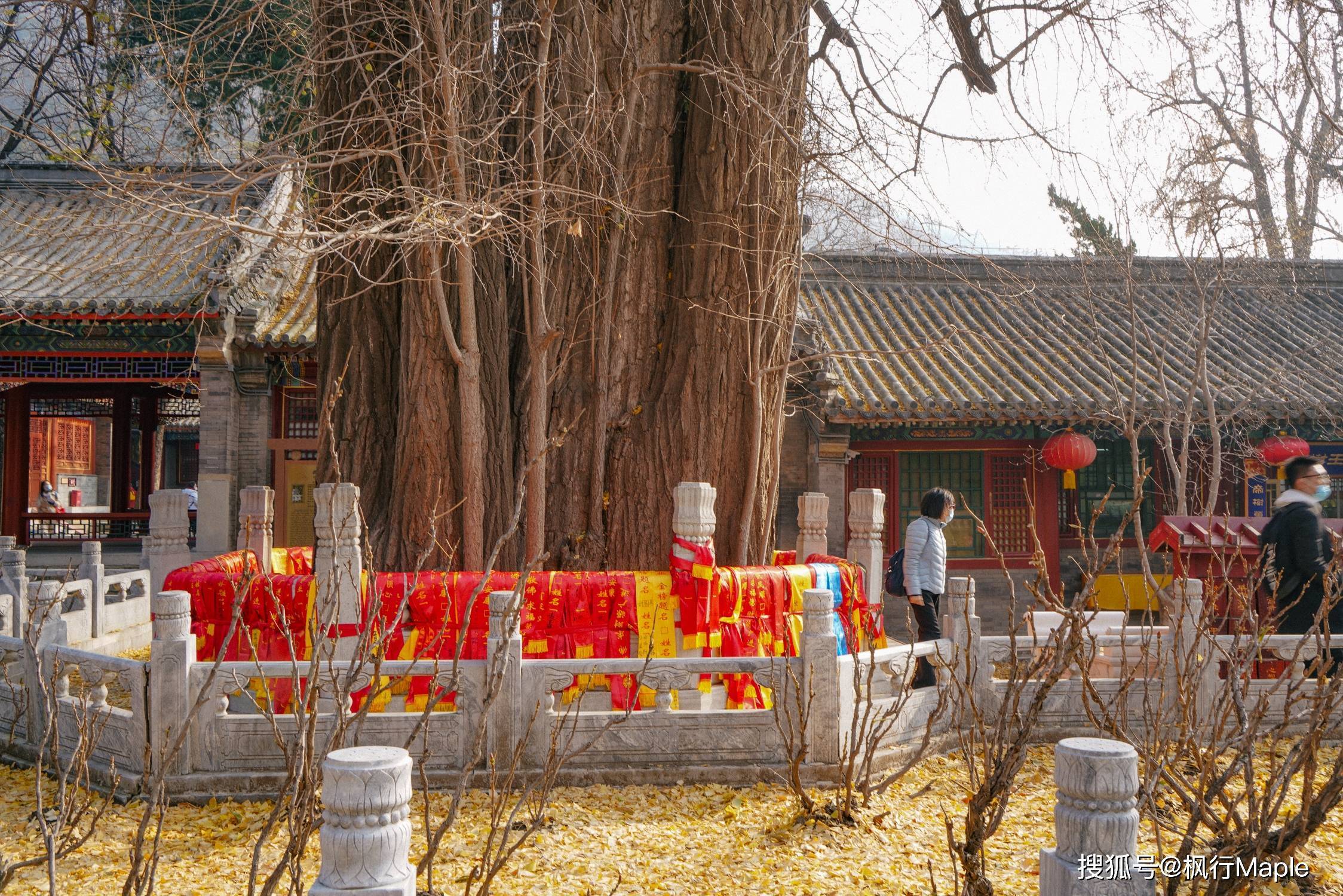 北京千年古寺,深冬祈福,巧遇狐仙