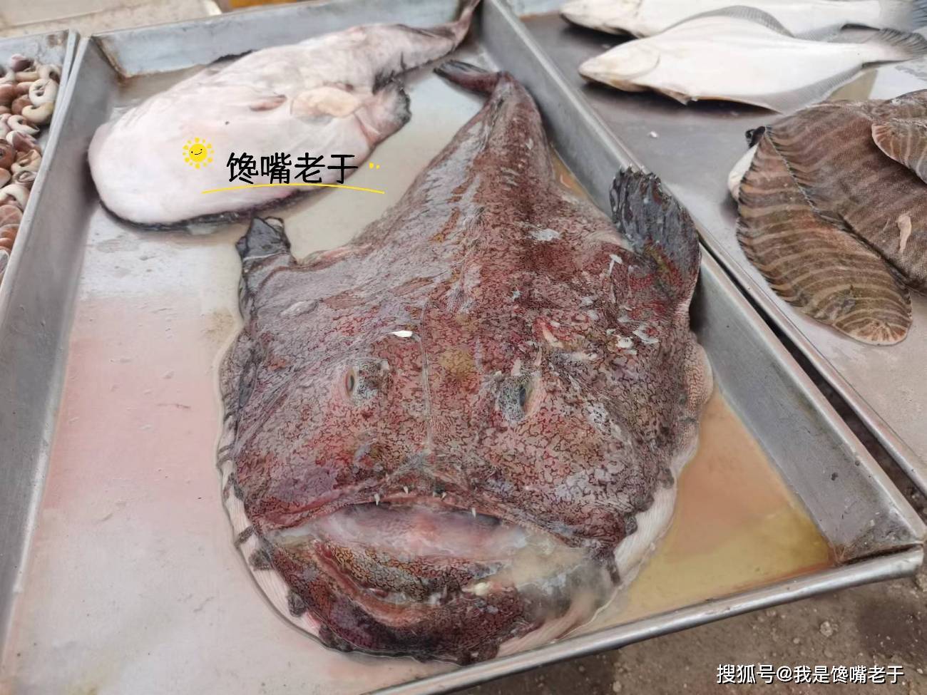 5元1斤深海鱼,因外表"丑"而无人问津,鱼老板:吃的都是懂行人_鱼皮_鱼