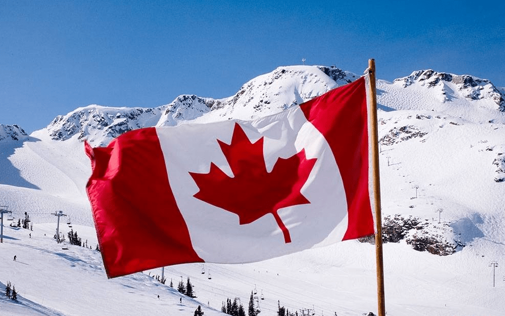 加拿大变"加麻大",遭人唾弃的毒品,却在这里合法化_大麻_种植_国家