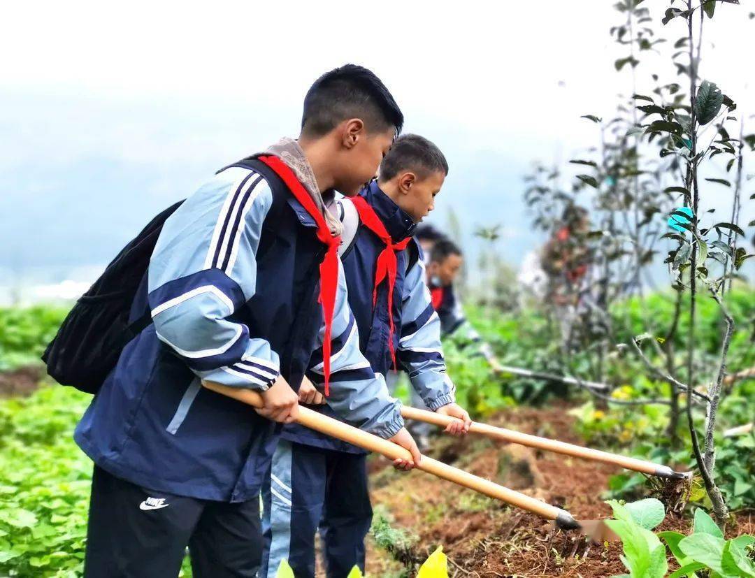 西城中学劳动实践教育基地助力学生全面发展_活动_建设_项目