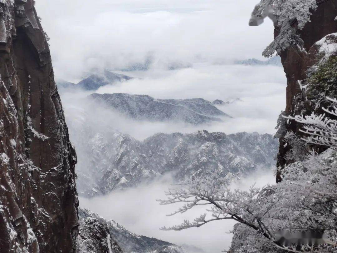 雪后黄山冰雪仙境图片