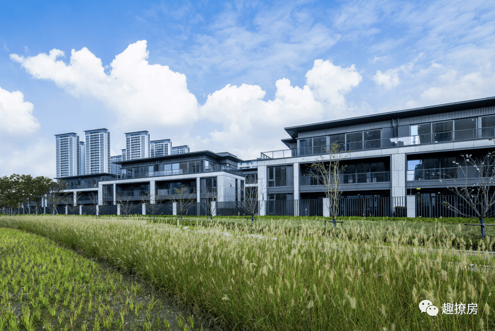 壹号院悔拍,真相来了!