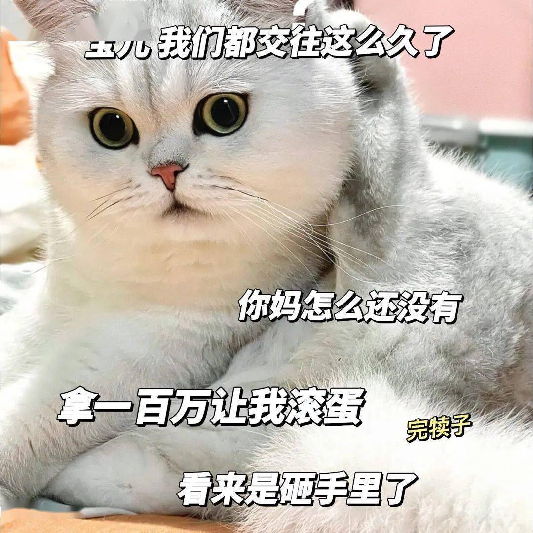 近期热门表情包 i 你快成为富婆吧 我快熬不住了