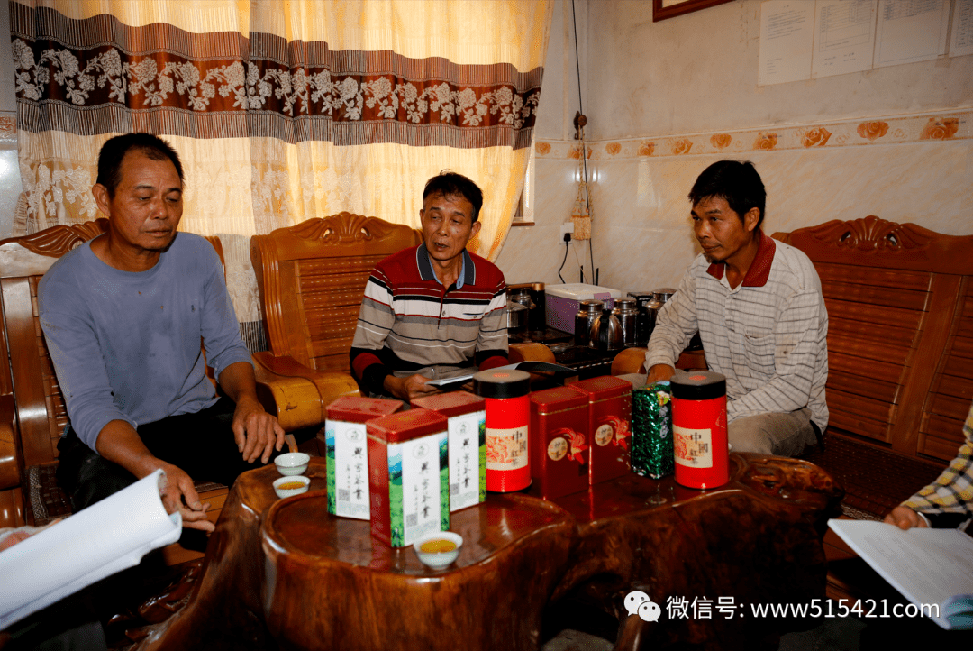 【 融通揭西】上砂镇上山兴家种养专业合作社:推动产业化发展 赋能