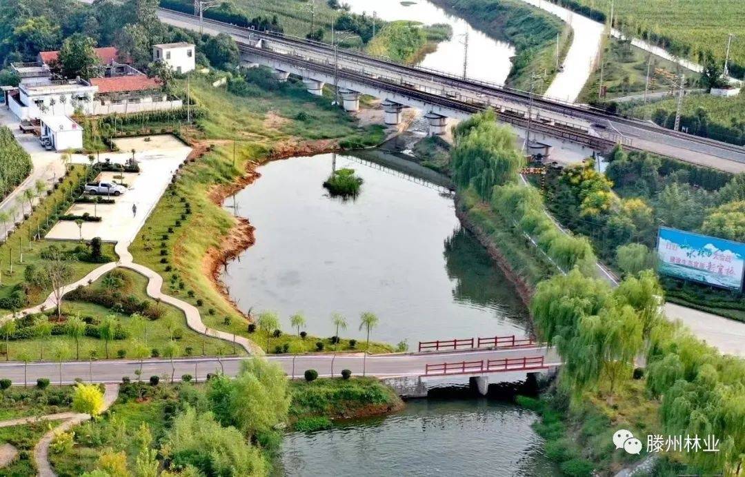 请为官桥投票!_进行_生态_绿色