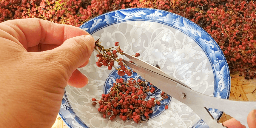 花椒那种价格最贵又好吃