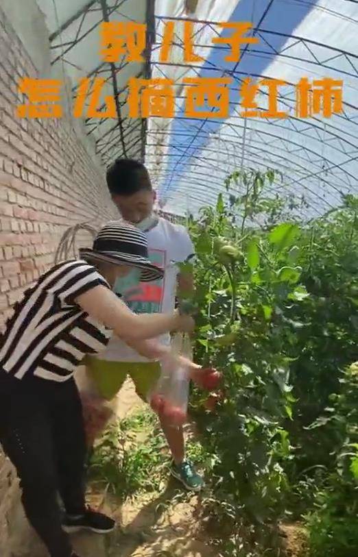 原创
邓亚萍教14岁儿子如何摘西红柿，却遭网友嘲讽：这也需要教？插图6