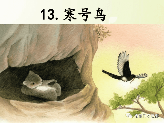 大雪 | “鹖鴠”,怎么念?_鸣叫_故事_飞行