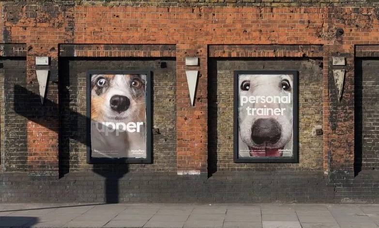 巨幅宠物 "怼"脸灯箱广告,文案创意直击万千铲屎官的心!