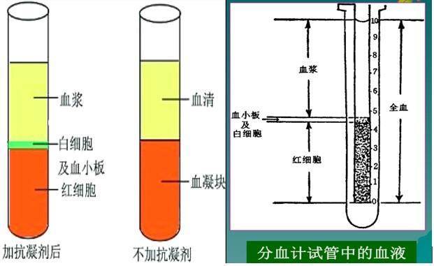 谈谈血液那些事儿:血液样本收集知多少_血浆_血清_服务